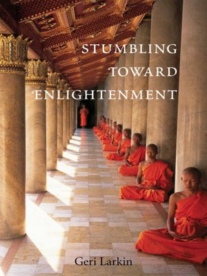 Stumbling Toward Enlightenment - ebook